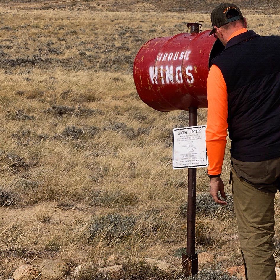 How Depositing Grouse Wings Shapes The Future For Bird Hunting