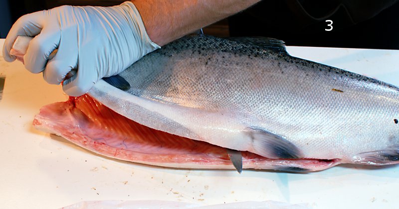 fillet 3