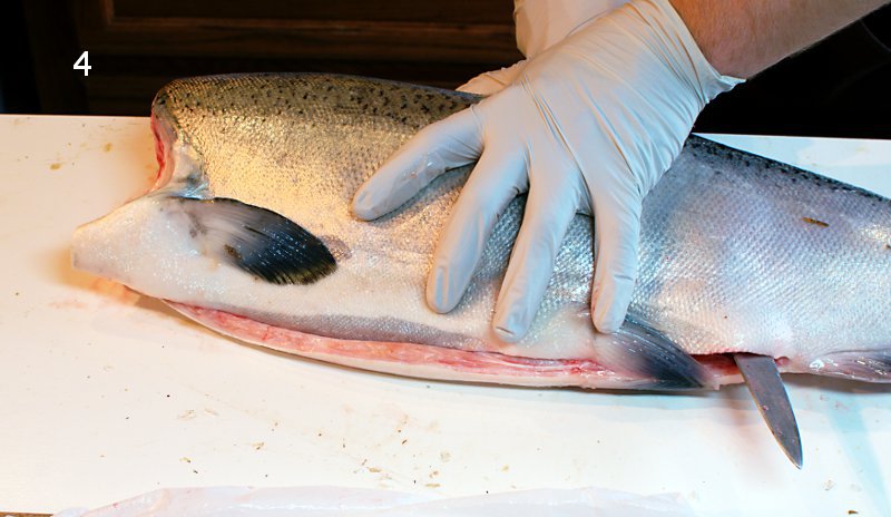 fillet 4
