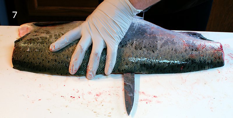fillet-7