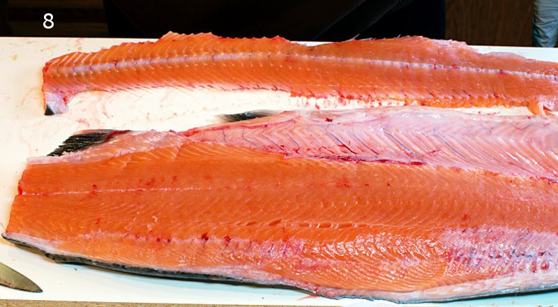 fillet-8